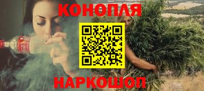 индика Ирбит