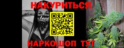 индика Ирбит