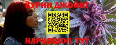 индика Ирбит
