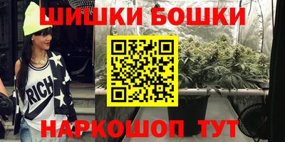 индика Ирбит