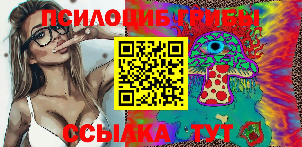 купить наркоту  Псилоцибиновые грибы MAGIC MUSHROOMS  Псилоцибиновые грибы прущие грибы  Вход с VPN  Волгоград 